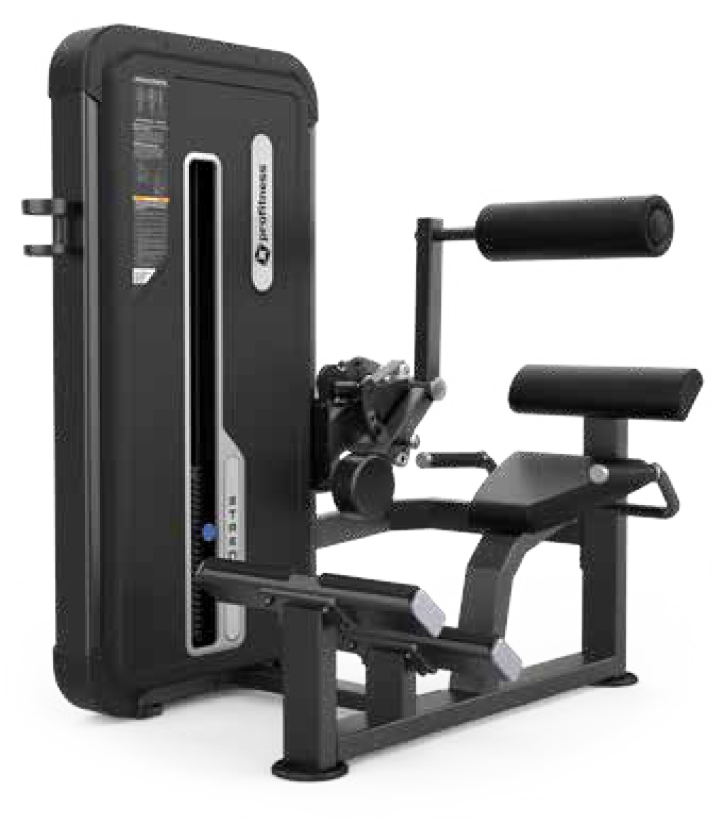 PROFITNESS BACK EXTENSION - A 3031